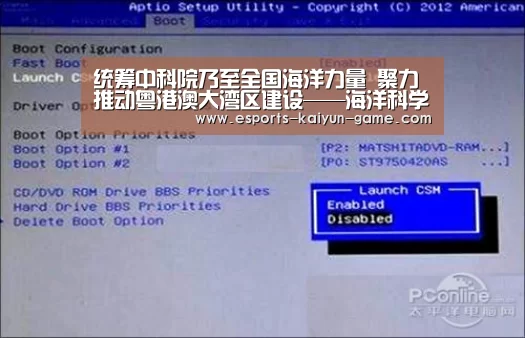 开云体育下载