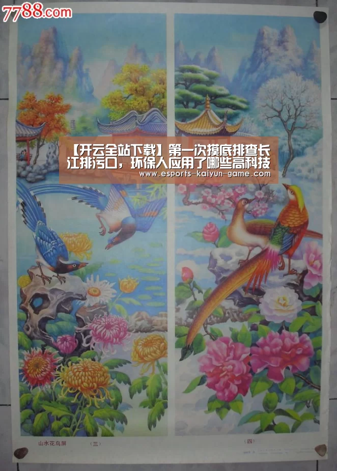 【开云全站下载】第一次摸底排查长江排污口,环保人应用了哪些高科技?(图1) 开云体育下载