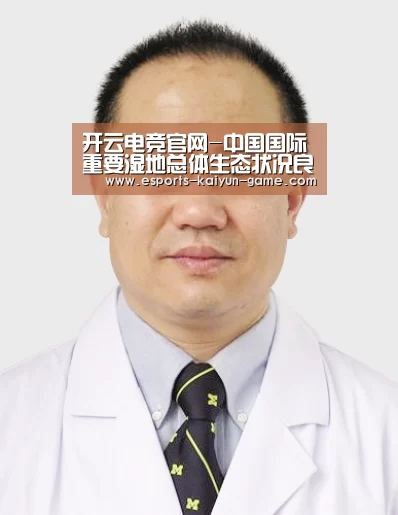 开云全站下载